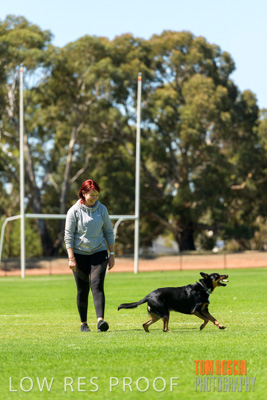 February 2020 / OWNER_WITH_DOG_009