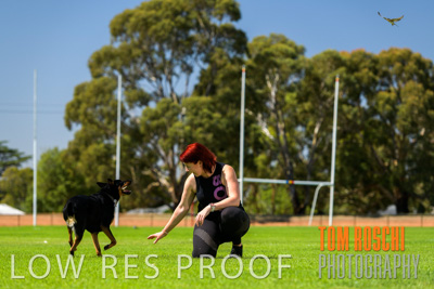 February 2020 / OWNER_WITH_DOG_030