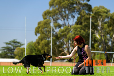 February 2020 / OWNER_WITH_DOG_040