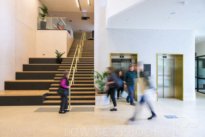 November 2023 / Tiwu-Kumangka-Blackwood-231124-_Z9E4715