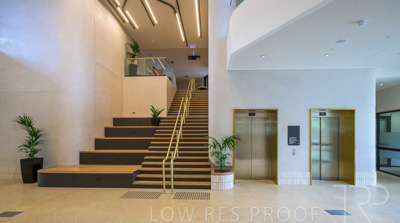 November 2023 / Tiwu-Kumangka-Blackwood-231124-_Z9E4750