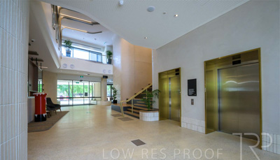 November 2023 / Tiwu-Kumangka-Blackwood-231124-_Z9E4805