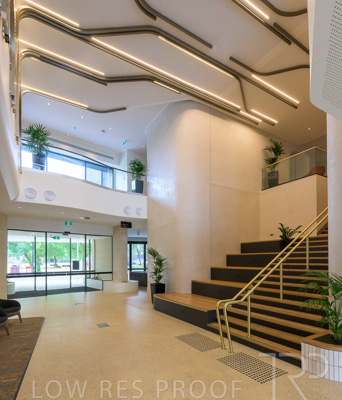 November 2023 / Tiwu-Kumangka-Blackwood-231124-_Z9E4820