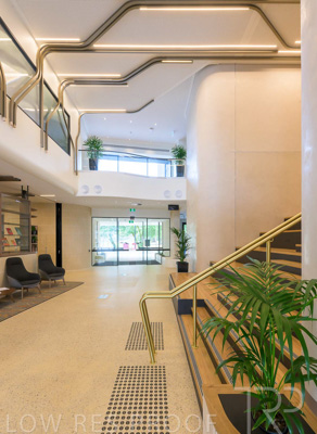 November 2023 / Tiwu-Kumangka-Blackwood-231124-_Z9E4825