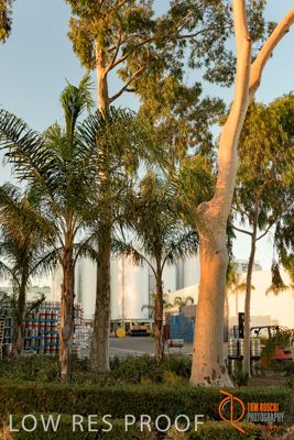 March 2018 / EXTERIORS_180323_125