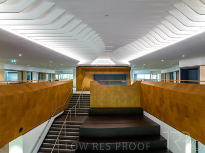 January 2022 / MBHS_INT_342