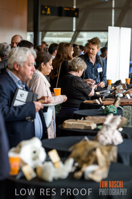 DEM_DISCOVERY_191128_1013