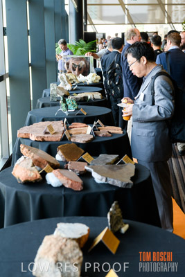 DEM_DISCOVERY_191128_1029