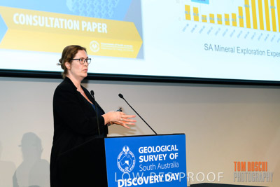 DEM_DISCOVERY_191128_1187