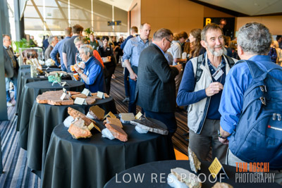 DEM_DISCOVERY_191128_364