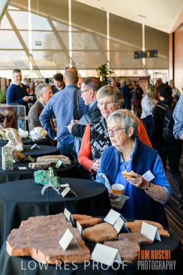 DEM_DISCOVERY_191128_369