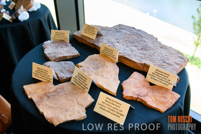 DEM_DISCOVERY_191128_397