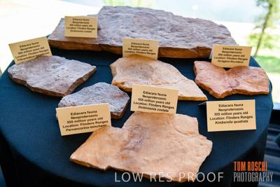 DEM_DISCOVERY_191128_399