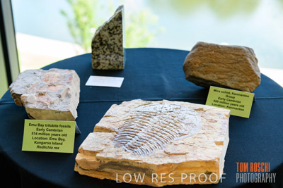 DEM_DISCOVERY_191128_402