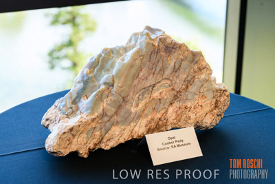 DEM_DISCOVERY_191128_404