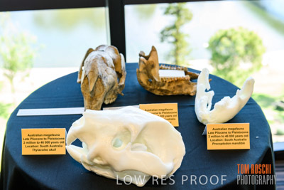 DEM_DISCOVERY_191128_405