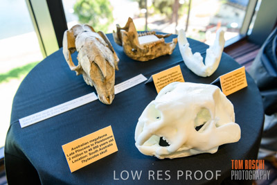 DEM_DISCOVERY_191128_410