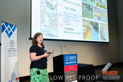 DEM_DISCOVERY_191128_582