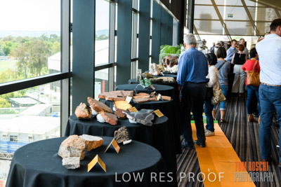 DEM_DISCOVERY_191128_715