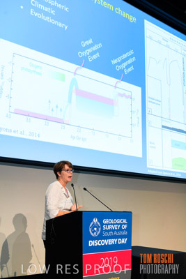 DEM_DISCOVERY_191128_880