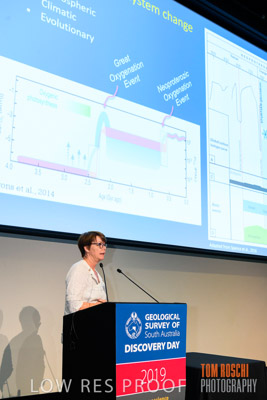 DEM_DISCOVERY_191128_882