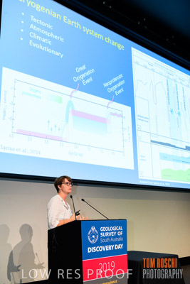 DEM_DISCOVERY_191128_886