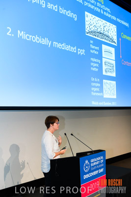 DEM_DISCOVERY_191128_897