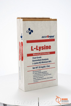 July 2016 / LYSINE_006_160701