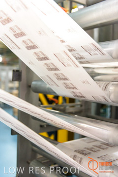 August 2017 / DETMOLD_CHIEF_STR_FACTORY_173_170829