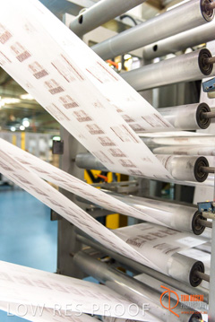 August 2017 / DETMOLD_CHIEF_STR_FACTORY_174_170829