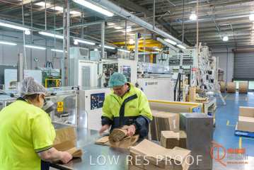 August 2017 / DETMOLD_CHIEF_STR_FACTORY_243_170829