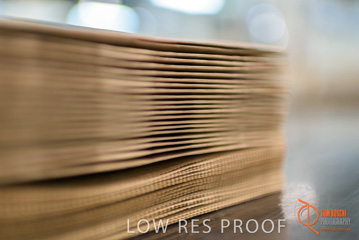 August 2017 / DETMOLD_CHIEF_STR_FACTORY_251_170829