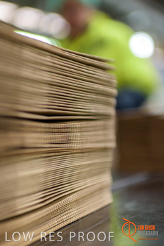 August 2017 / DETMOLD_CHIEF_STR_FACTORY_252_170829