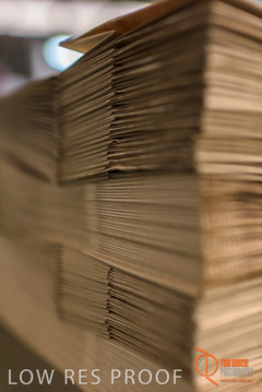 August 2017 / DETMOLD_CHIEF_STR_FACTORY_259_170829