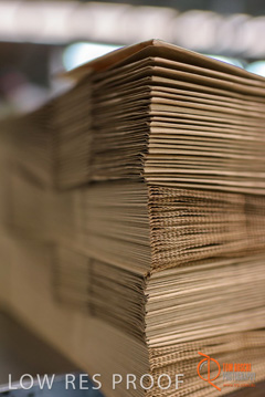 August 2017 / DETMOLD_CHIEF_STR_FACTORY_260_170829