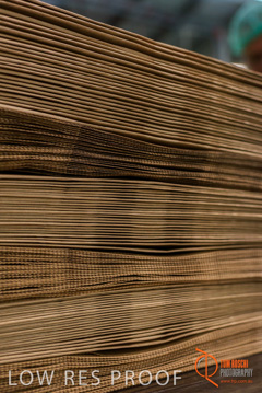 August 2017 / DETMOLD_CHIEF_STR_FACTORY_261_170829