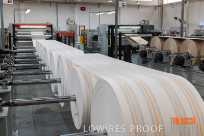 June 2018 / Sheeter_details_180611_TRP0565