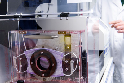 September 2021 / DM-LAB_087