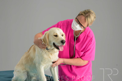 October 2023 / SURGICAL-TP_687_231025