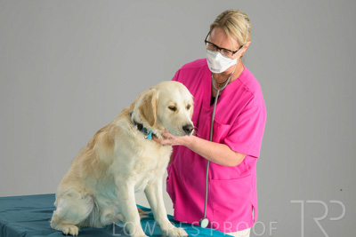 October 2023 / SURGICAL-TP_691_231025