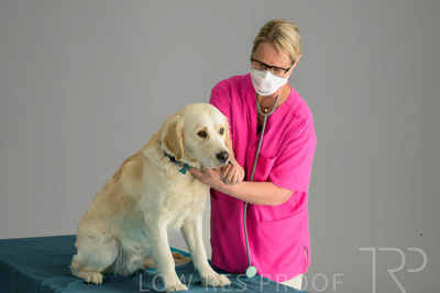 October 2023 / SURGICAL-TP_693_231025