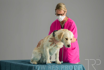 October 2023 / SURGICAL-TP_698_231025