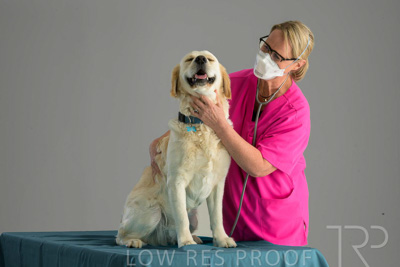 October 2023 / SURGICAL-TP_701_231025