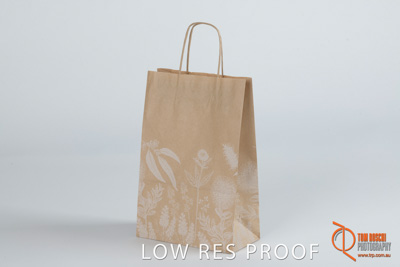 March 2019 / C493S0349_001_190318_