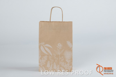 March 2019 / C493S0349_002_190318_