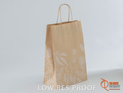 March 2019 / C493S0349_006_190319_