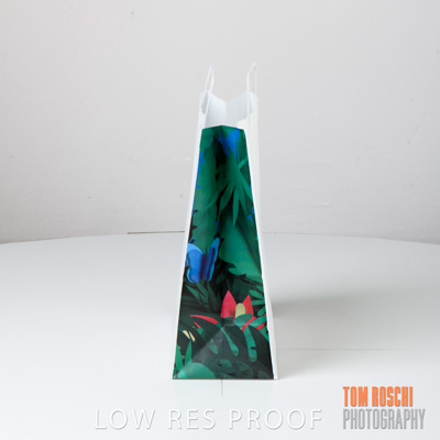 March 2020 / C167S0357_007