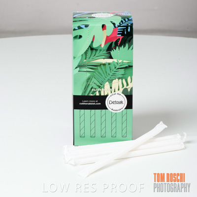 March 2020 / K113S0352_011