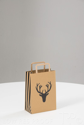 August 2021 / C486S3068_017