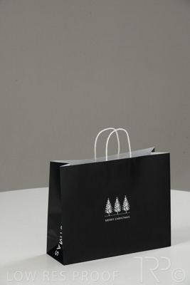 August 2021 / C493S0369_057